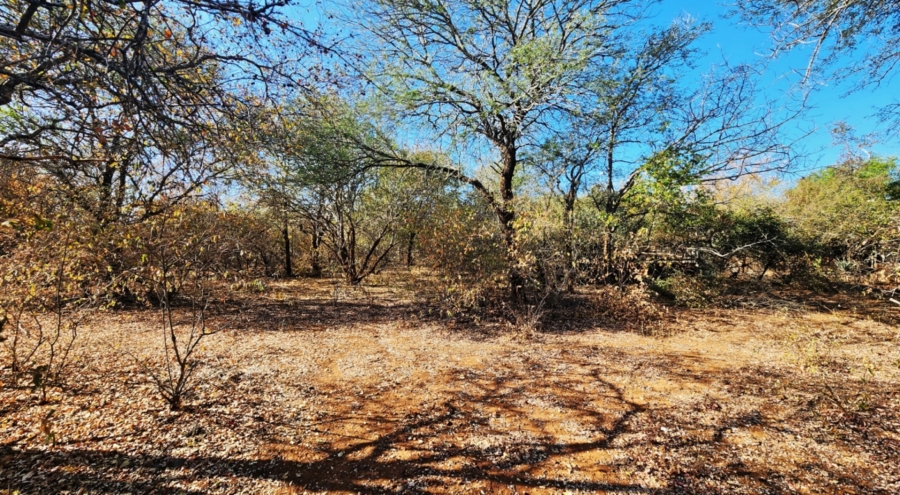 0 Bedroom Property for Sale in Marloth Park Mpumalanga