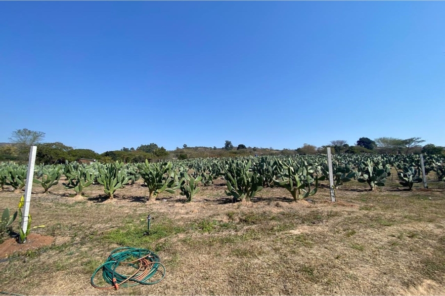 To Let 2 Bedroom Property for Rent in Nelspruit Mpumalanga