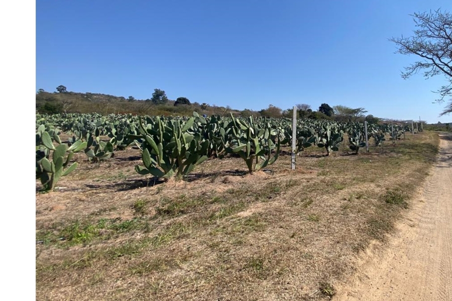 To Let 2 Bedroom Property for Rent in Nelspruit Mpumalanga