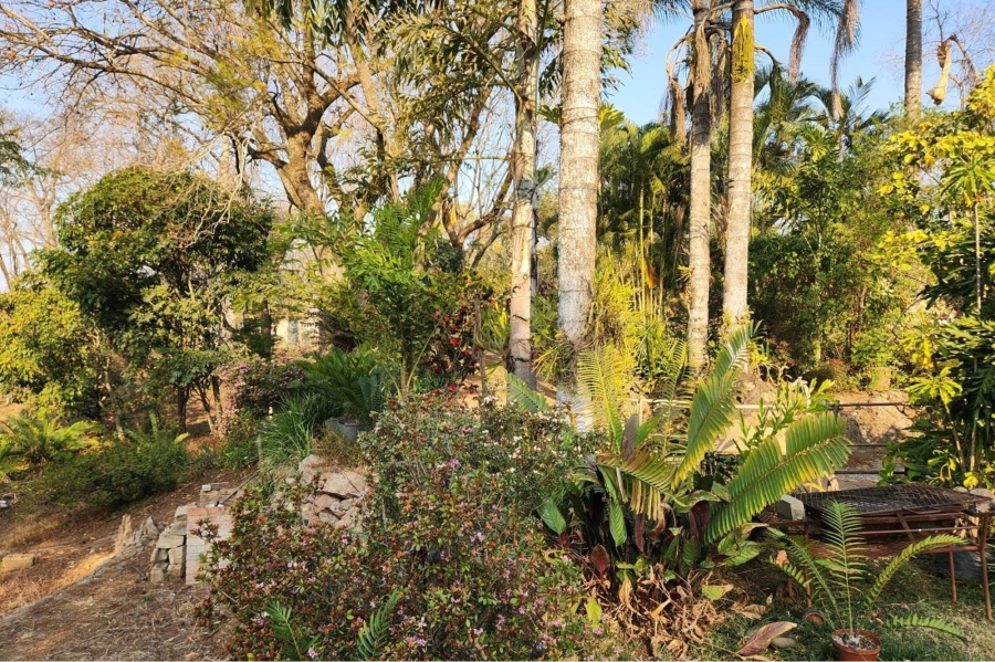 0 Bedroom Property for Sale in Alkmaar Mpumalanga