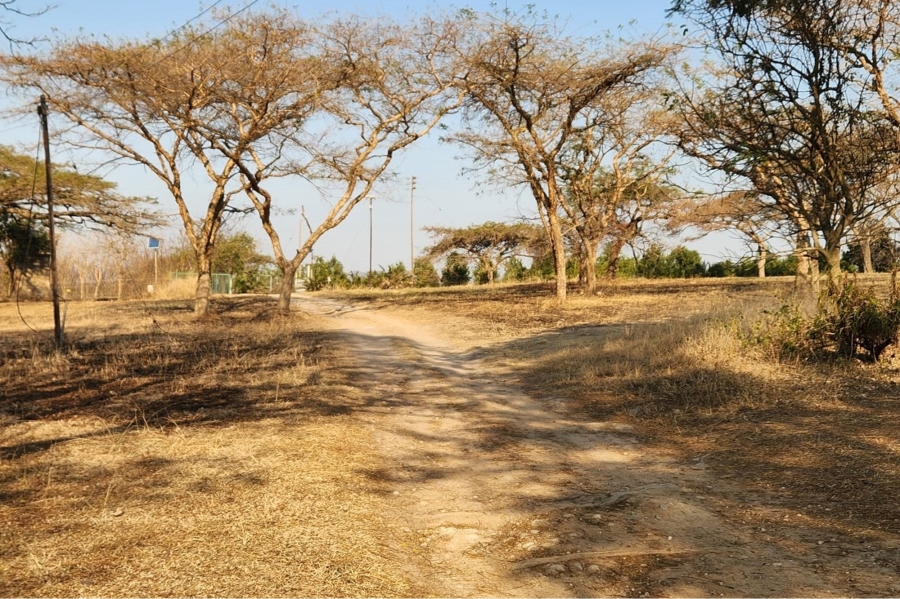 0 Bedroom Property for Sale in Alkmaar Mpumalanga