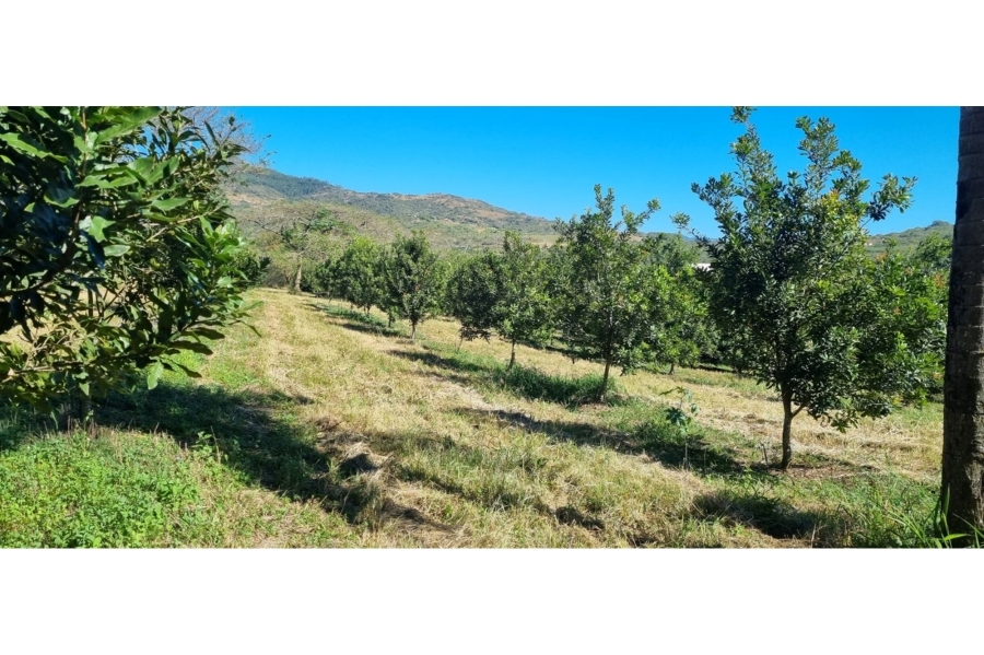 0 Bedroom Property for Sale in Alkmaar Mpumalanga
