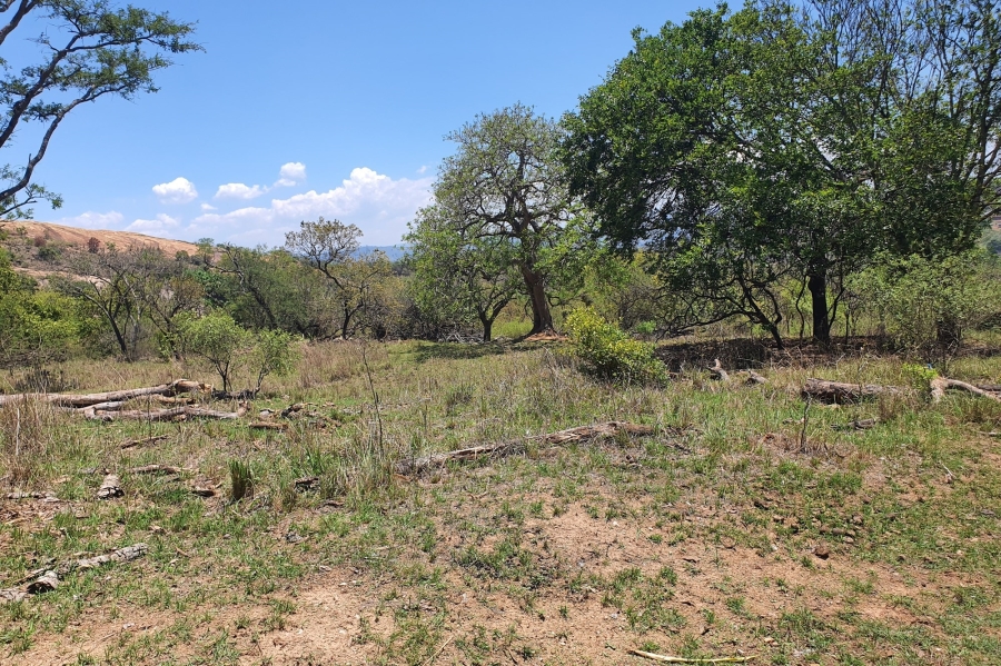 0 Bedroom Property for Sale in The Rest Mpumalanga