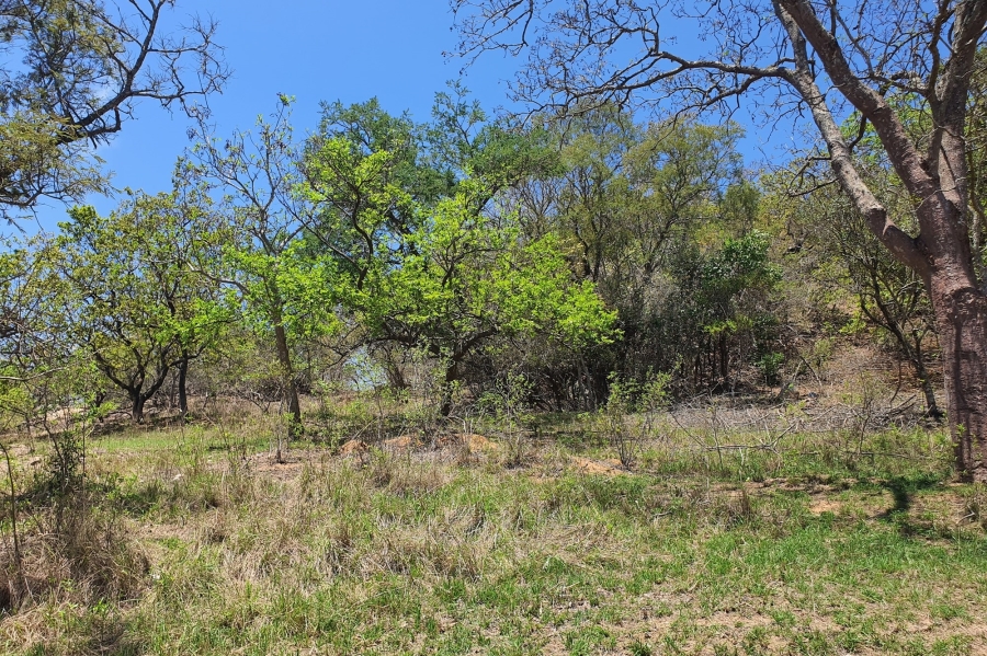 0 Bedroom Property for Sale in The Rest Mpumalanga