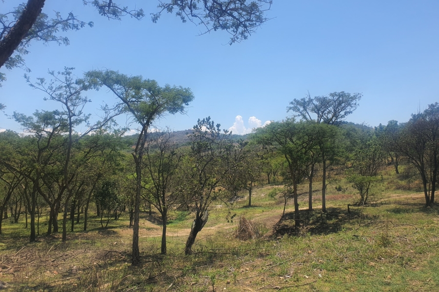 0 Bedroom Property for Sale in The Rest Mpumalanga