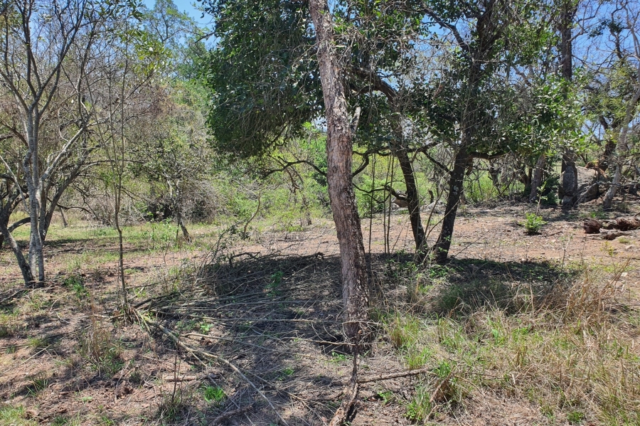 0 Bedroom Property for Sale in The Rest Mpumalanga
