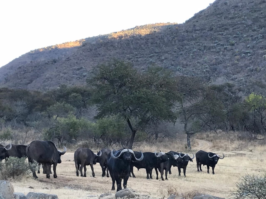 10 Bedroom Property for Sale in Lydenburg Rural Mpumalanga