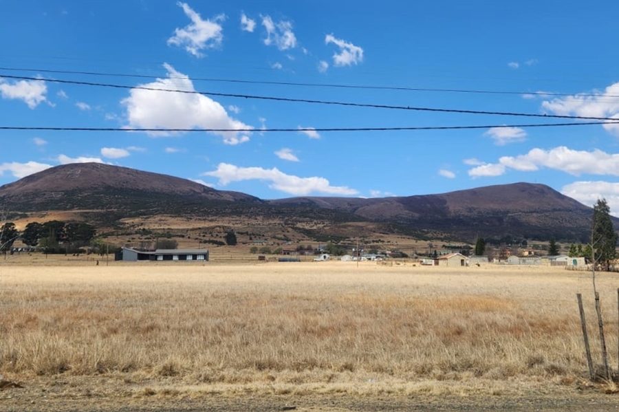 0 Bedroom Property for Sale in Wakkerstroom Mpumalanga