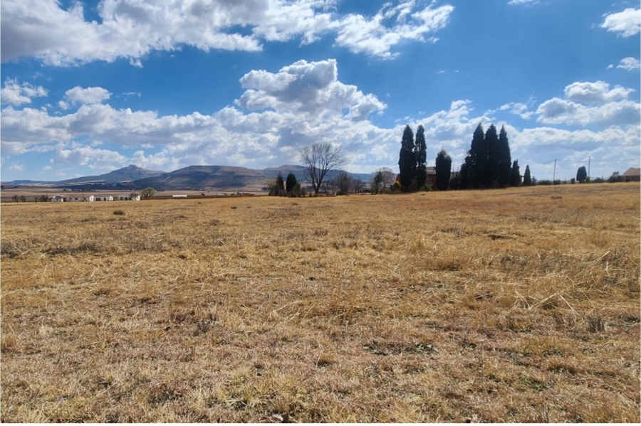 0 Bedroom Property for Sale in Wakkerstroom Mpumalanga