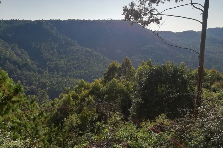 0 Bedroom Property for Sale in Sabie Rural Mpumalanga