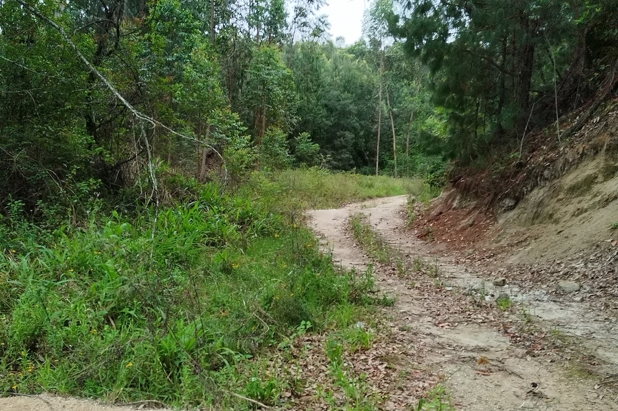 0 Bedroom Property for Sale in Sabie Rural Mpumalanga