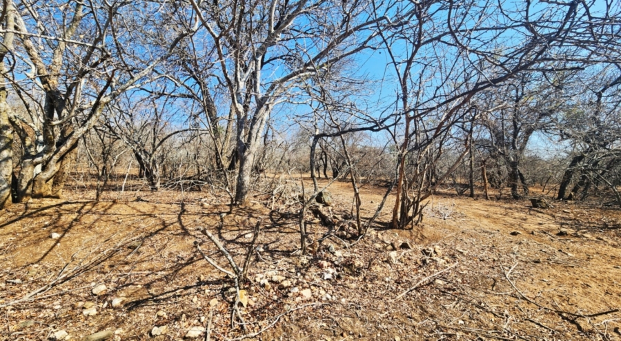 0 Bedroom Property for Sale in Marloth Park Mpumalanga