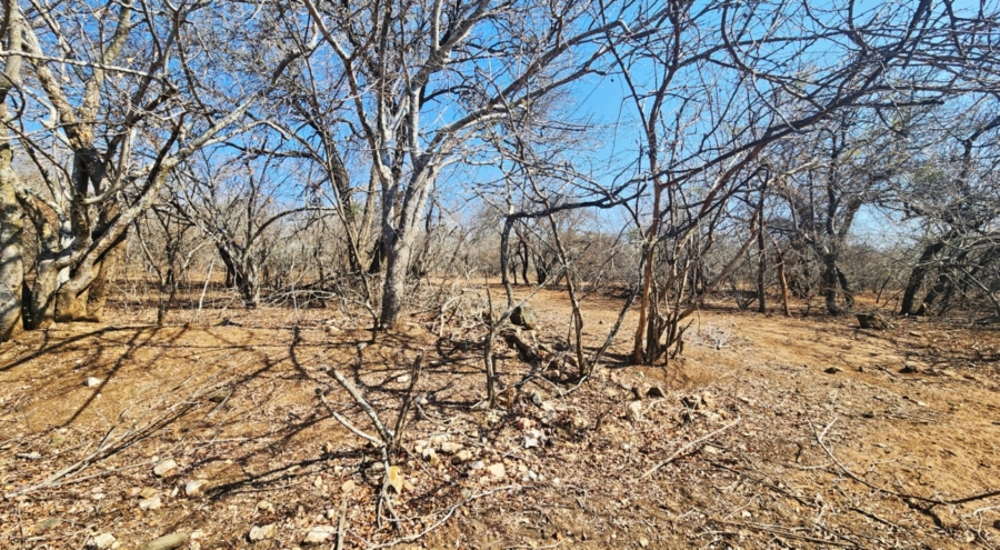 0 Bedroom Property for Sale in Marloth Park Mpumalanga