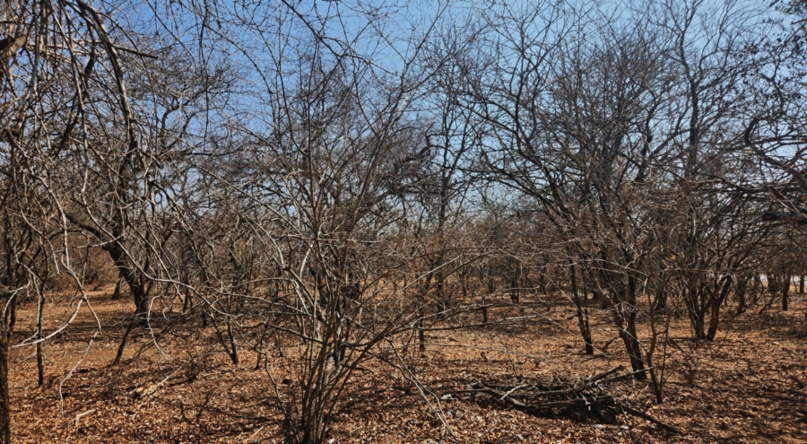 0 Bedroom Property for Sale in Marloth Park Mpumalanga