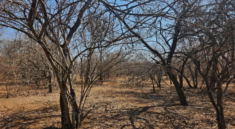 0 Bedroom Property for Sale in Marloth Park Mpumalanga