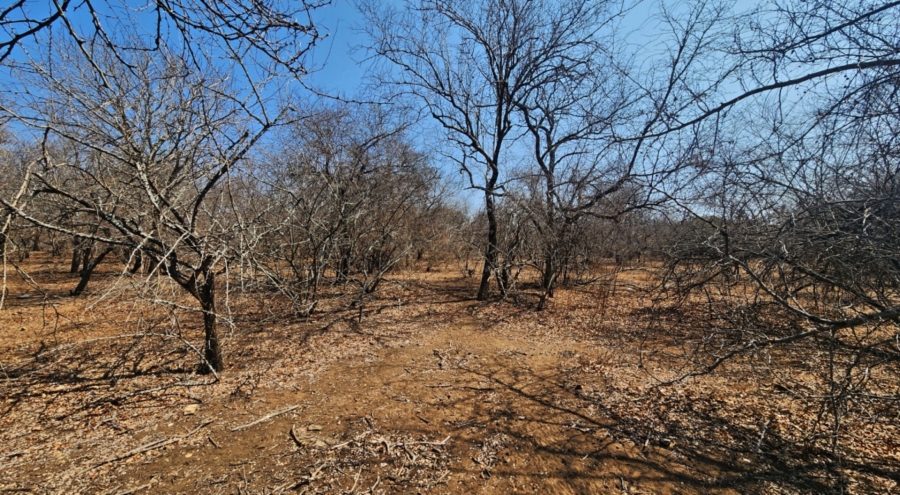 0 Bedroom Property for Sale in Marloth Park Mpumalanga