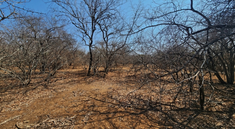 0 Bedroom Property for Sale in Marloth Park Mpumalanga