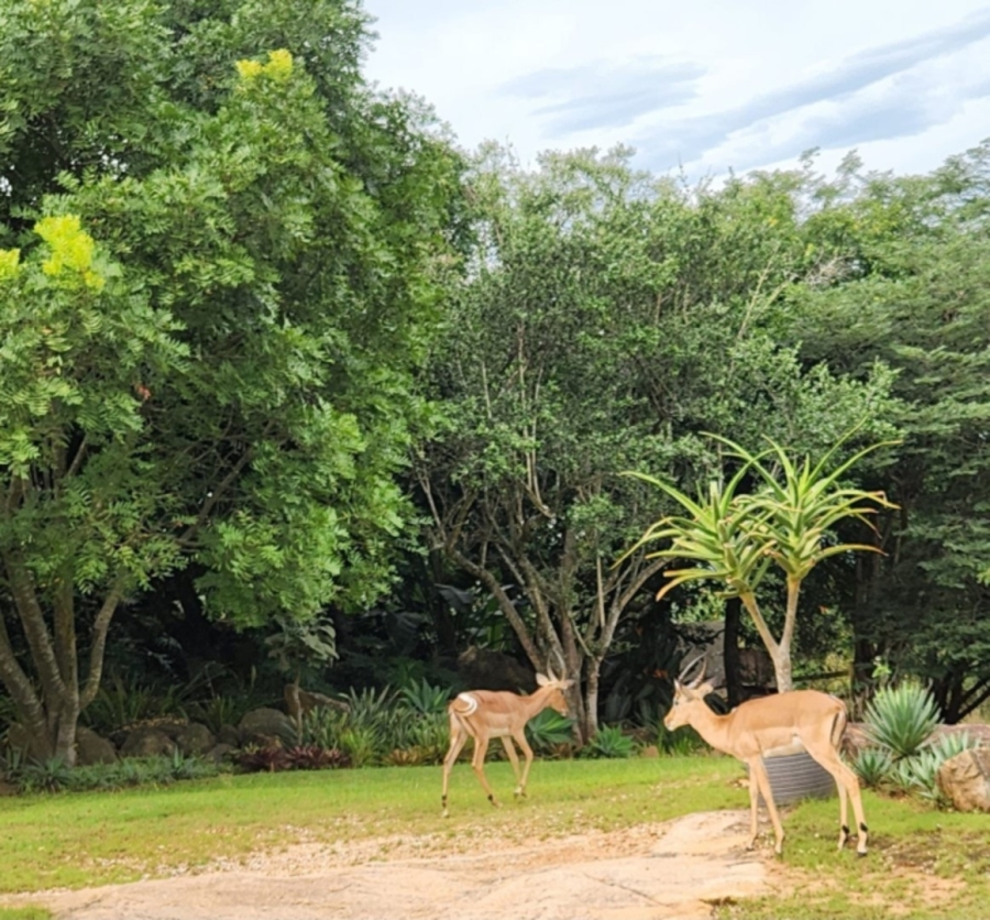 3 Bedroom Property for Sale in Bundu Wildlife Estate Mpumalanga