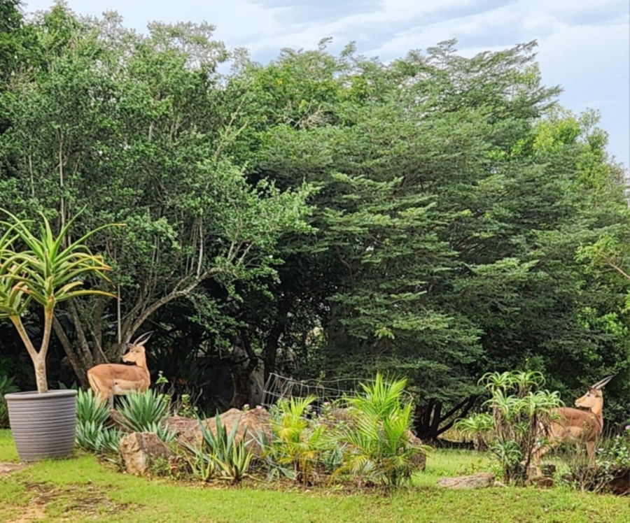 3 Bedroom Property for Sale in Bundu Wildlife Estate Mpumalanga