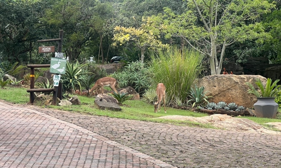 3 Bedroom Property for Sale in Bundu Wildlife Estate Mpumalanga
