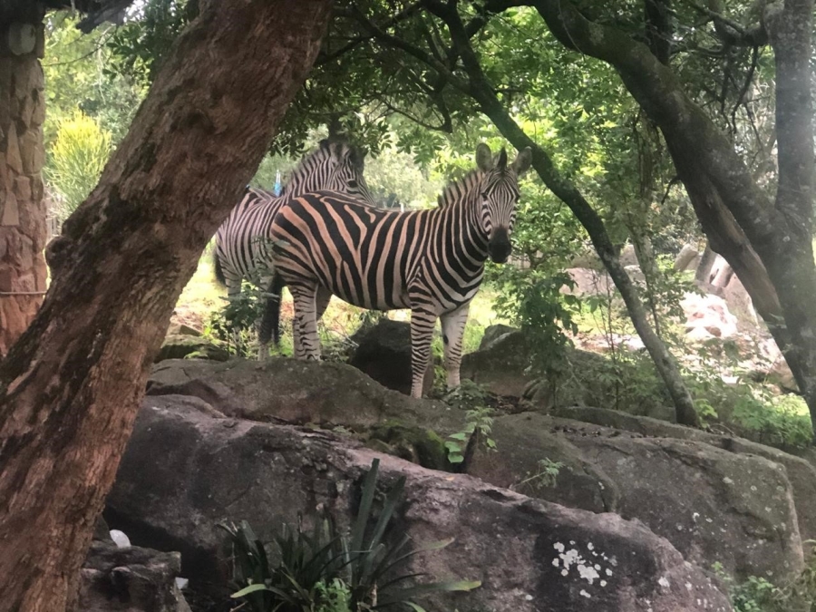 3 Bedroom Property for Sale in Bundu Wildlife Estate Mpumalanga
