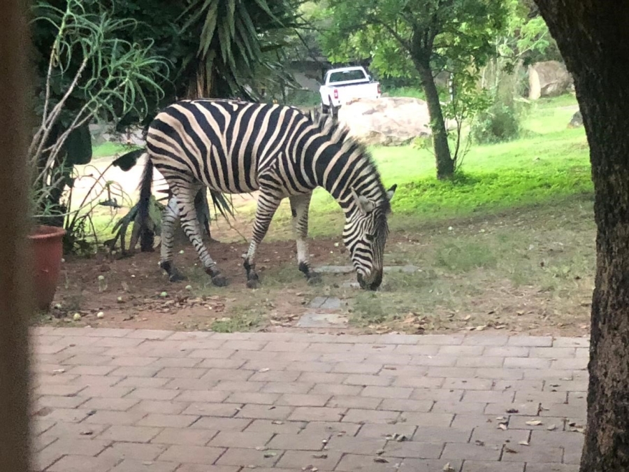 3 Bedroom Property for Sale in Bundu Wildlife Estate Mpumalanga