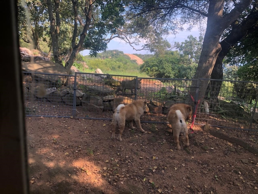 3 Bedroom Property for Sale in Bundu Wildlife Estate Mpumalanga