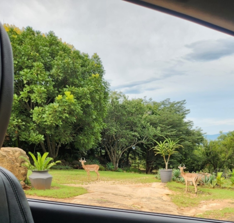 To Let 3 Bedroom Property for Rent in Bundu Wildlife Estate Mpumalanga