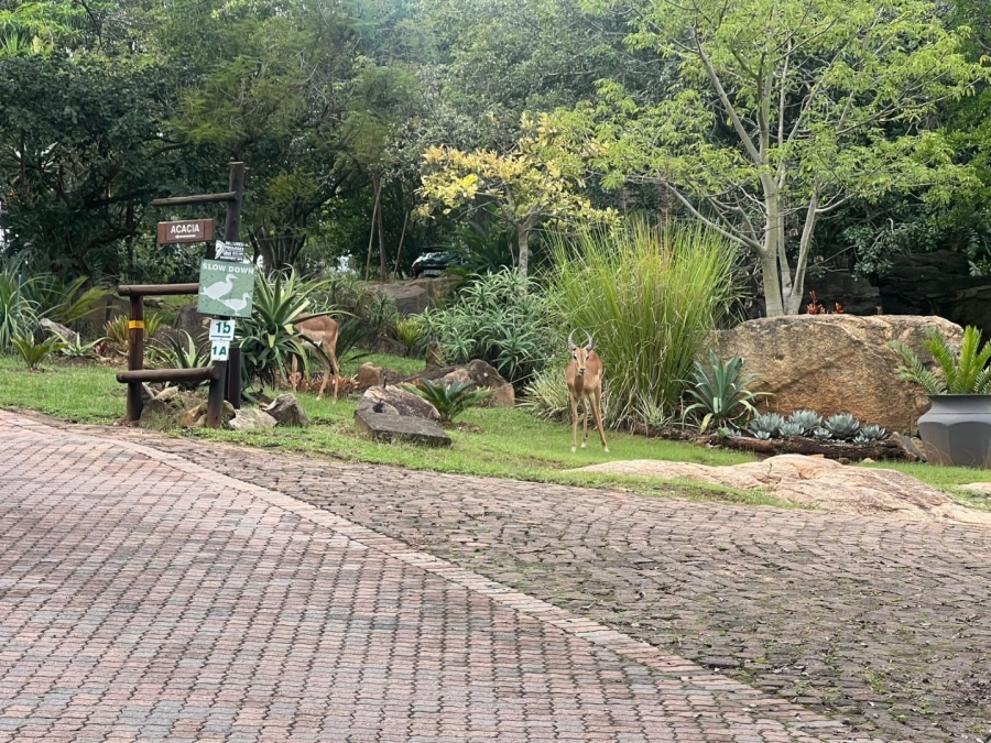 To Let 3 Bedroom Property for Rent in Bundu Wildlife Estate Mpumalanga