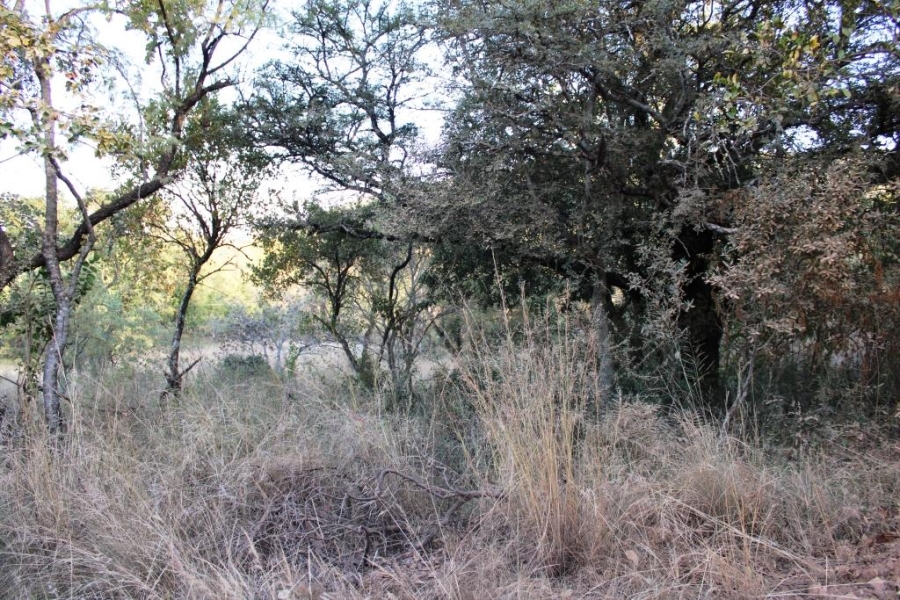 0 Bedroom Property for Sale in Kranspoort Mpumalanga