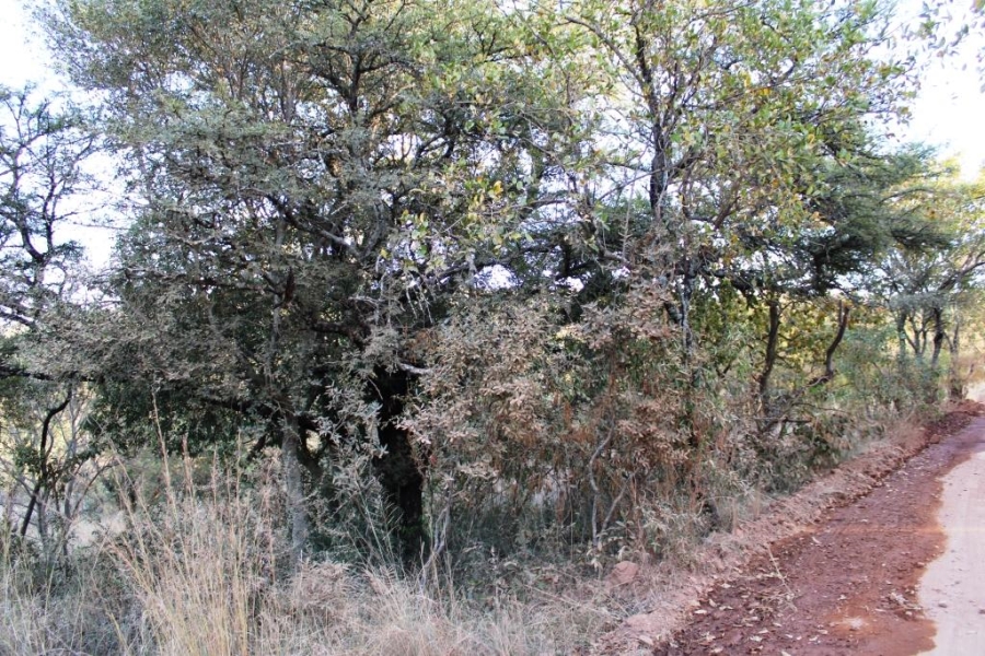 0 Bedroom Property for Sale in Kranspoort Mpumalanga