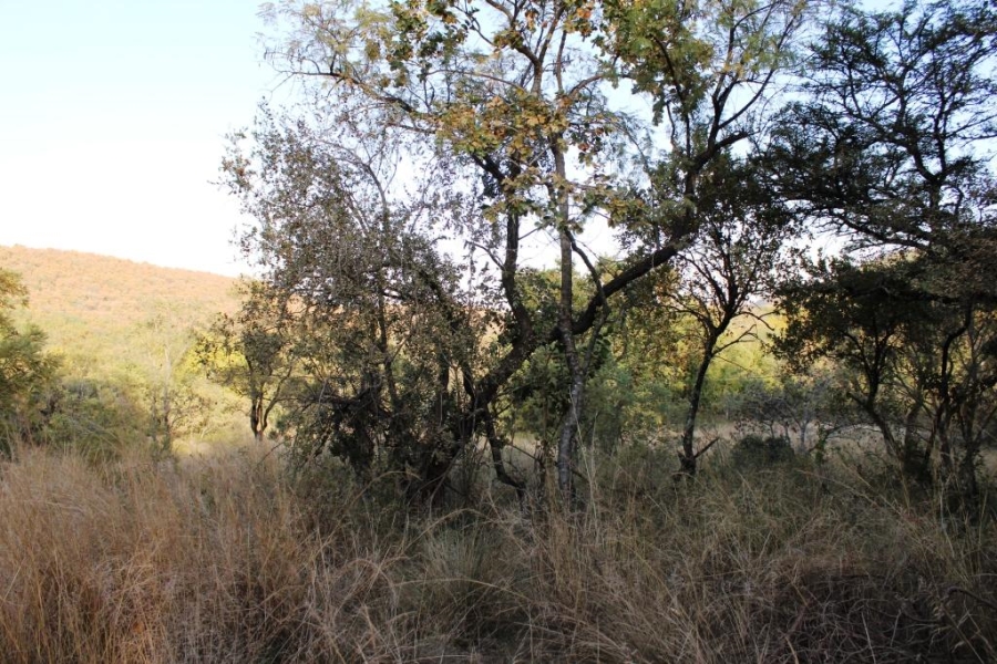 0 Bedroom Property for Sale in Kranspoort Mpumalanga