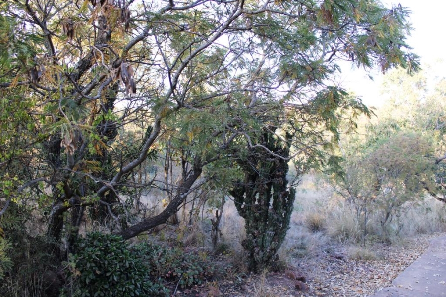 0 Bedroom Property for Sale in Kranspoort Mpumalanga