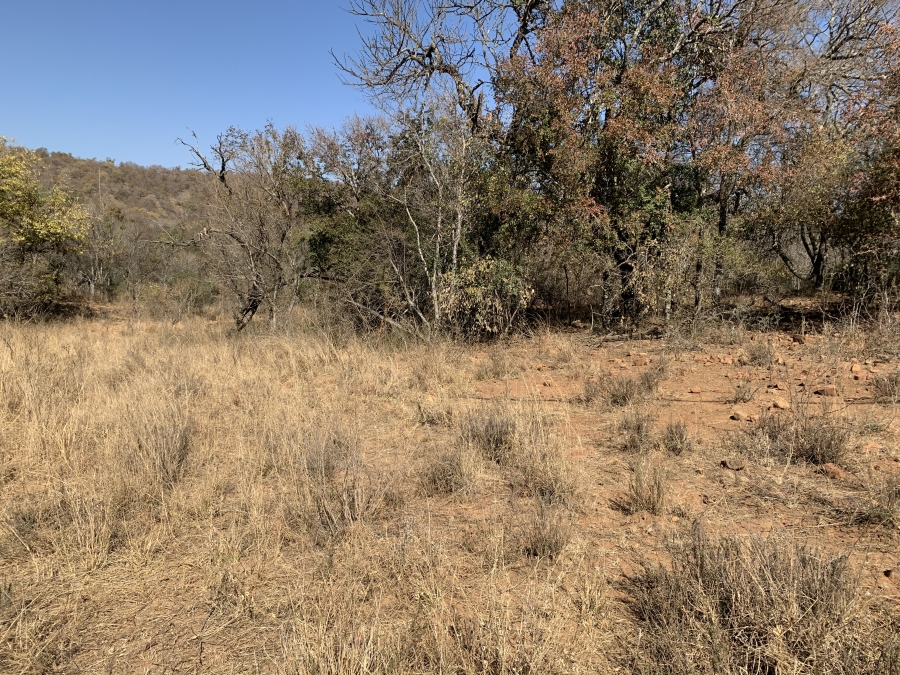 0 Bedroom Property for Sale in Kranspoort Mpumalanga