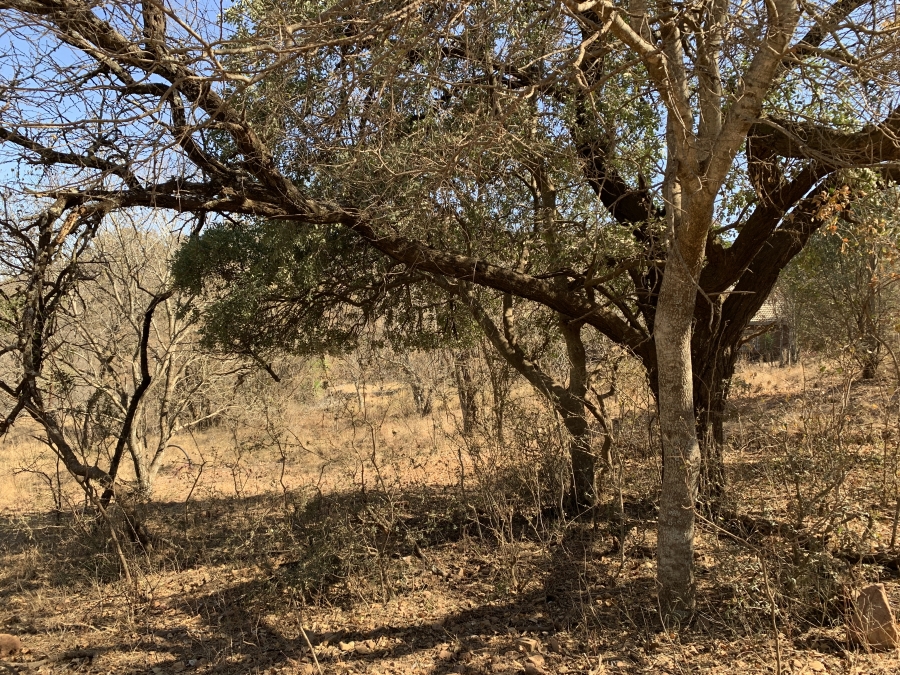0 Bedroom Property for Sale in Kranspoort Mpumalanga