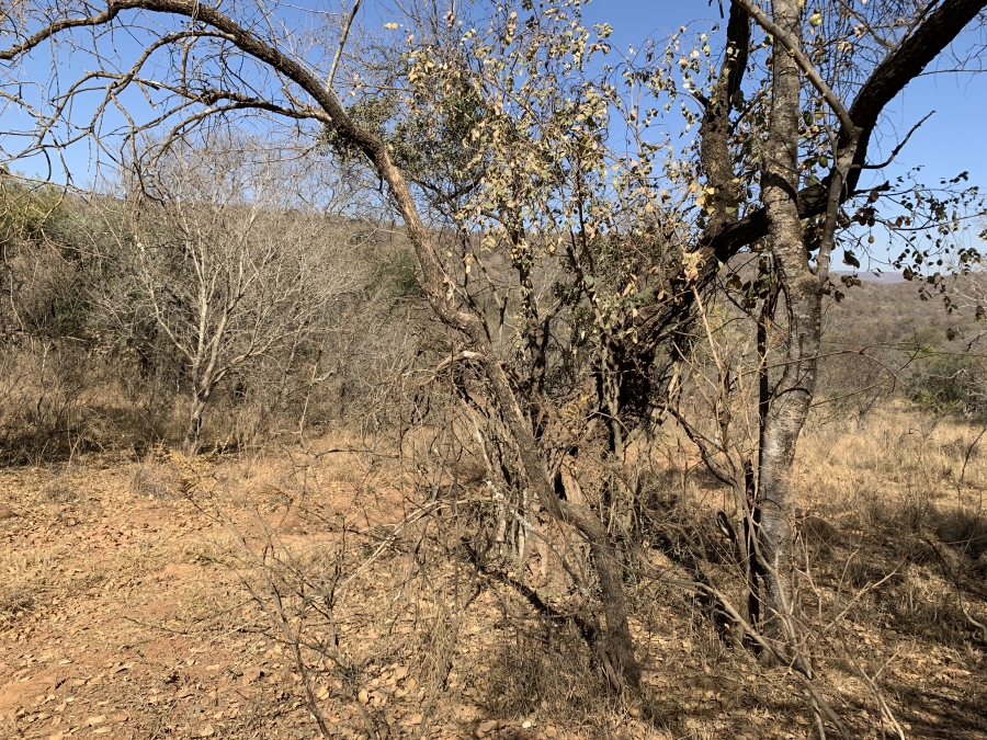 0 Bedroom Property for Sale in Kranspoort Mpumalanga