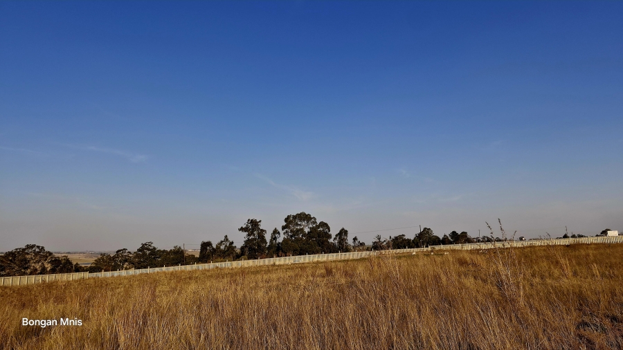 Commercial Property for Sale in Naaupoort Mpumalanga