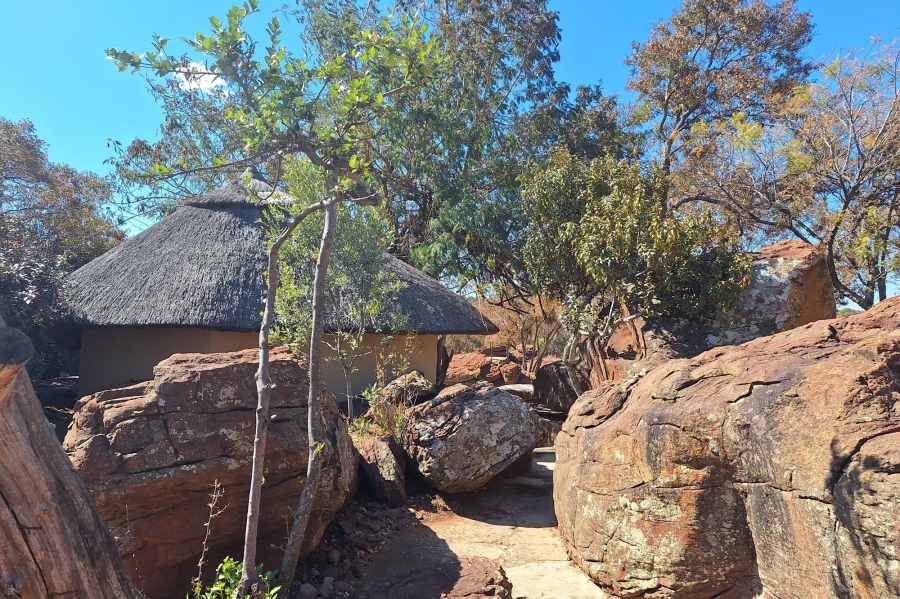 0 Bedroom Property for Sale in Middelburg Rural Mpumalanga