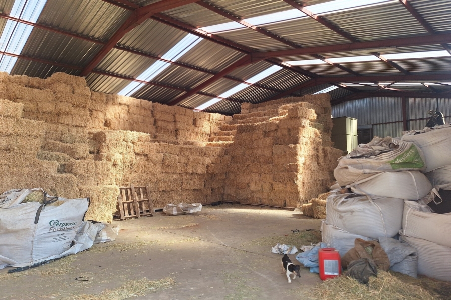 0 Bedroom Property for Sale in Middelburg Rural Mpumalanga