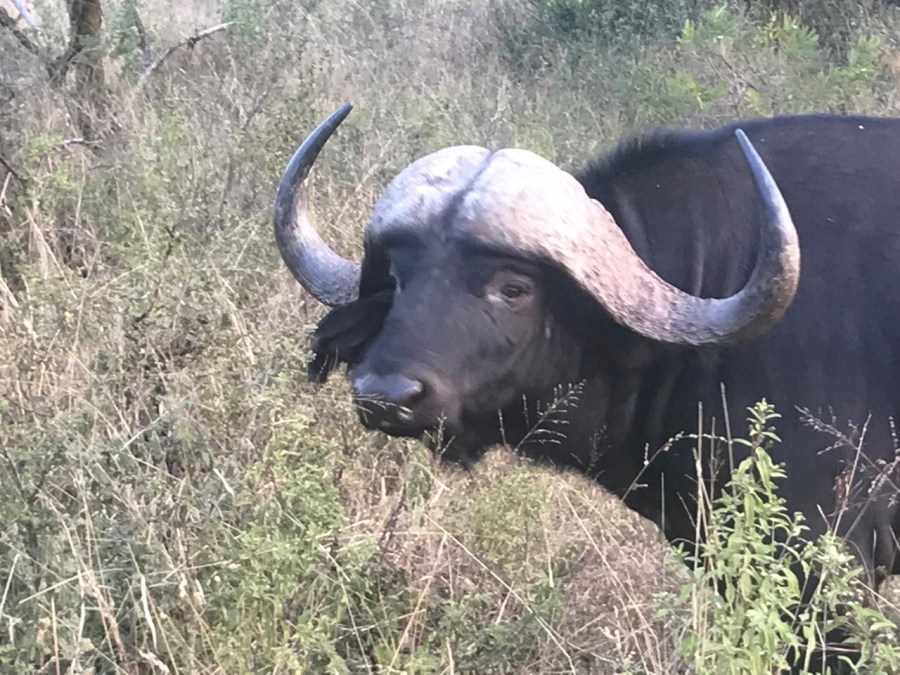 10 Bedroom Property for Sale in Lydenburg Rural Mpumalanga