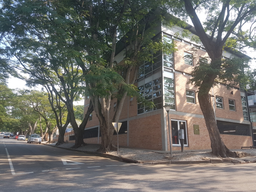 To Let commercial Property for Rent in Nelspruit Ext 1 Mpumalanga