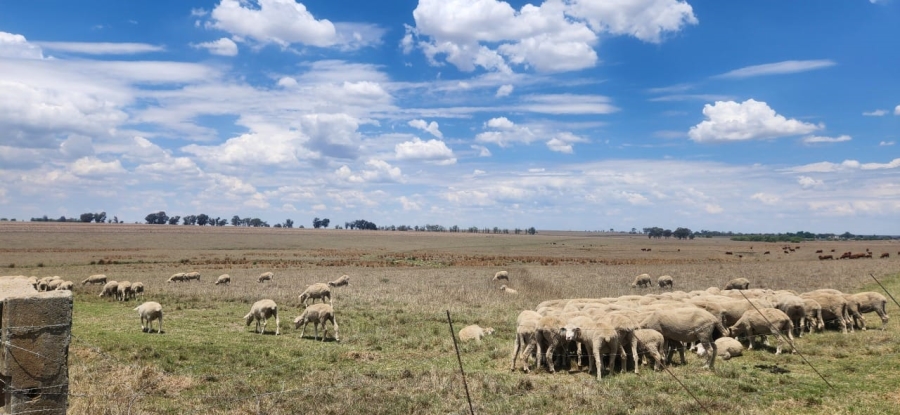 8 Bedroom Property for Sale in Standerton Rural Mpumalanga