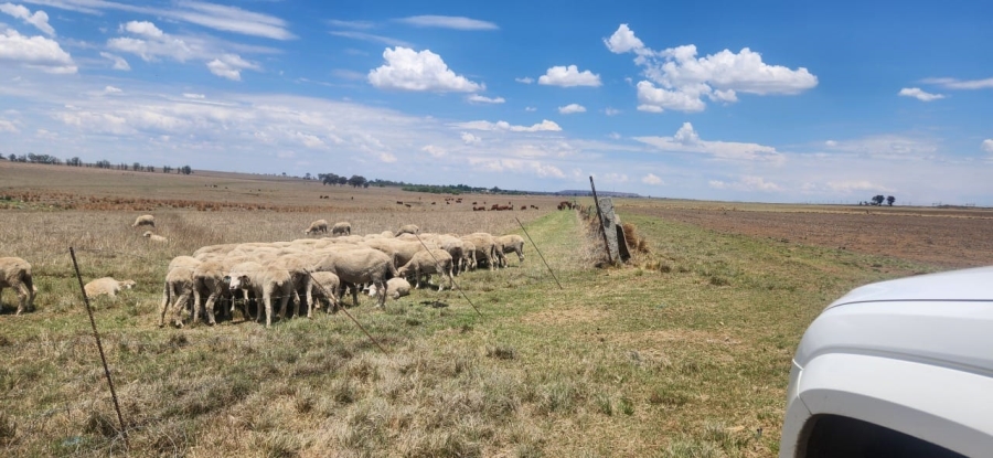 8 Bedroom Property for Sale in Standerton Rural Mpumalanga