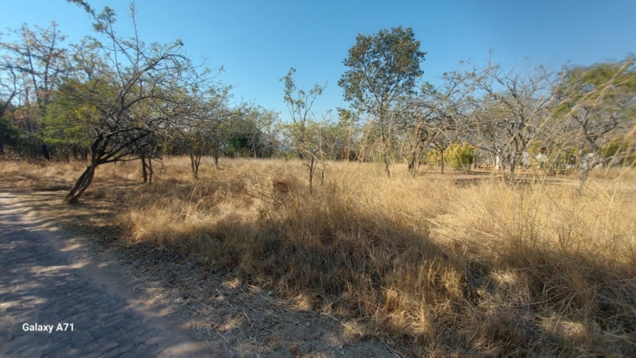 0 Bedroom Property for Sale in Bundu Wildlife Estate Mpumalanga
