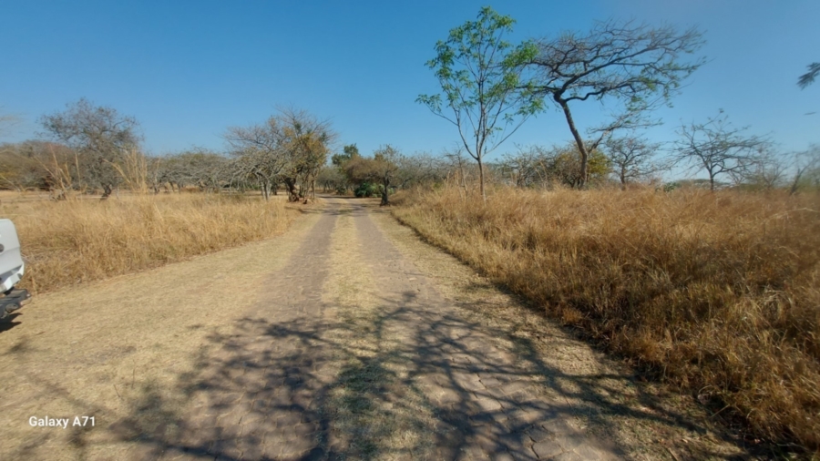 0 Bedroom Property for Sale in Bundu Wildlife Estate Mpumalanga