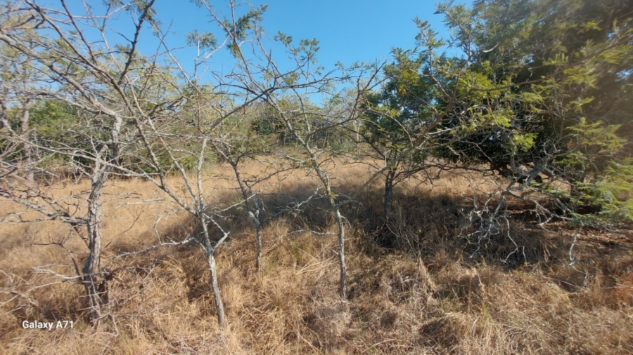 0 Bedroom Property for Sale in Bundu Wildlife Estate Mpumalanga