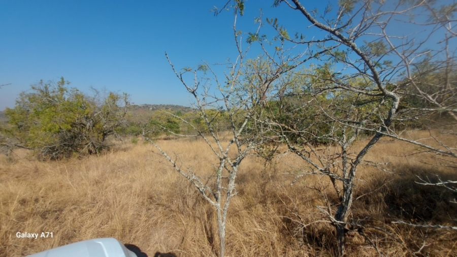 0 Bedroom Property for Sale in Bundu Wildlife Estate Mpumalanga