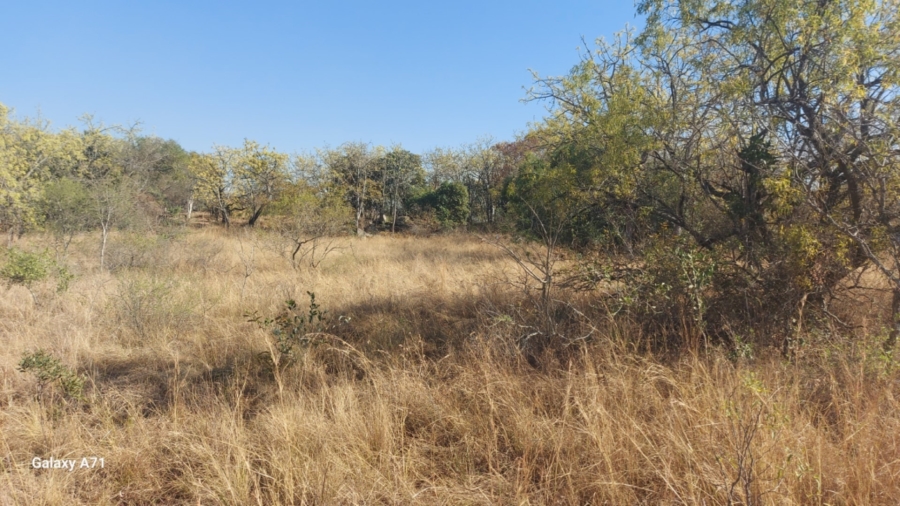 0 Bedroom Property for Sale in Bundu Wildlife Estate Mpumalanga
