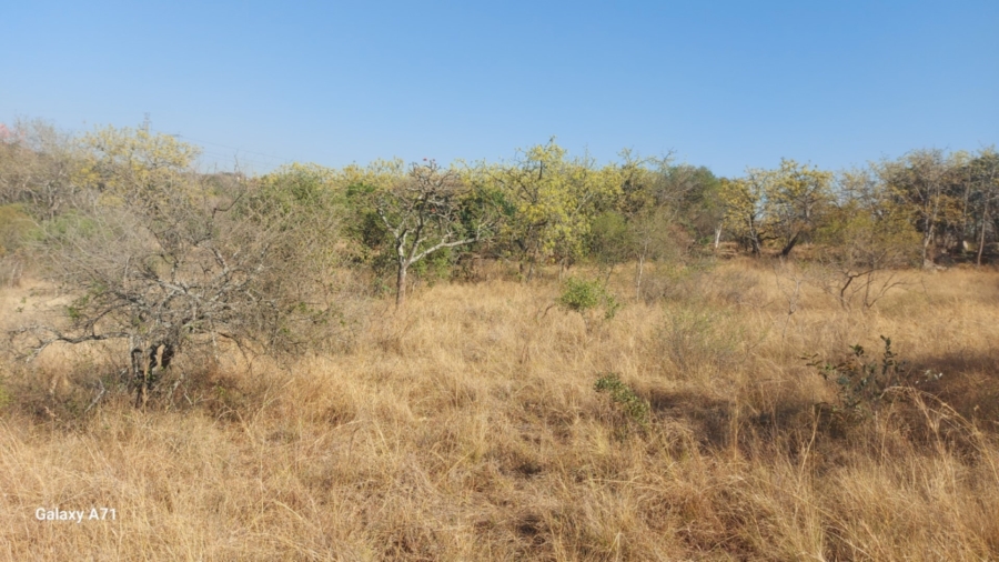 0 Bedroom Property for Sale in Bundu Wildlife Estate Mpumalanga