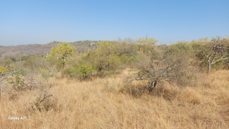 0 Bedroom Property for Sale in Bundu Wildlife Estate Mpumalanga